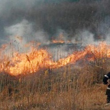 VIDEO: Incendiu pe islazul din Şirineasa! Pompierii, în alertă!