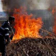 INCONȘTIENȚĂ. 11 incendii de vegetație provocate în Vâlcea, în ultimele 48 de ore