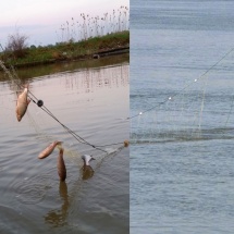 SIBIENII SUSŢIN: Pe Olt,  la Vâlcea, nu mai e peşte pentru că s-a braconat legal. Braconierii vin acum la Sibiu