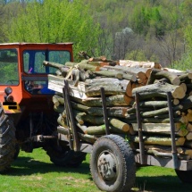 LEMNE CONFISCATE în două localităţi din VÂLCEA…