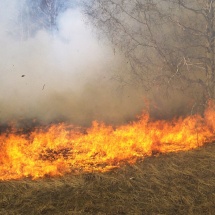 VÂLCEA. Șase incendii de vegetație în două zile