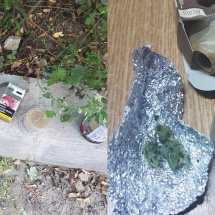 FOTO: Tânăr prins cu droguri în Ostroveni – Râmnicu Vâlcea