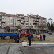 FOTO – RÂMNICU VÂLCEA: Vine Bradul de Crăciun!