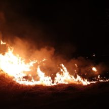 VÂLCEA. 7 incendii de vegetație în ultimele 48 de ore