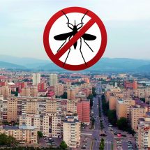 Demarează etapa a doua a dezinsecţiei împotriva ţânţarilor şi căpuşelor, în Râmnicu Vâlcea