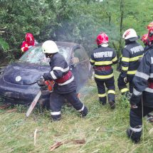 FOTO. ACCIDENT la MILCOIU. A ieșit cu mașina în decor