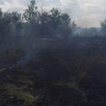 Foto. INCENDIU PUTERNIC în Tomșani. 30 de hectare s-au făcut deja scrum!