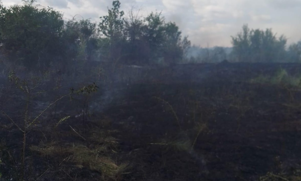 Foto. INCENDIU PUTERNIC în Tomșani. 30 de hectare s-au făcut deja scrum! – Gazeta Vâlceană